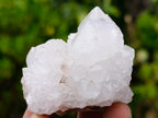 Natural Mixed Spirit Quartz Clusters x 12 From Boekenhouthoek, South Africa - Toprock Gemstones and Minerals 