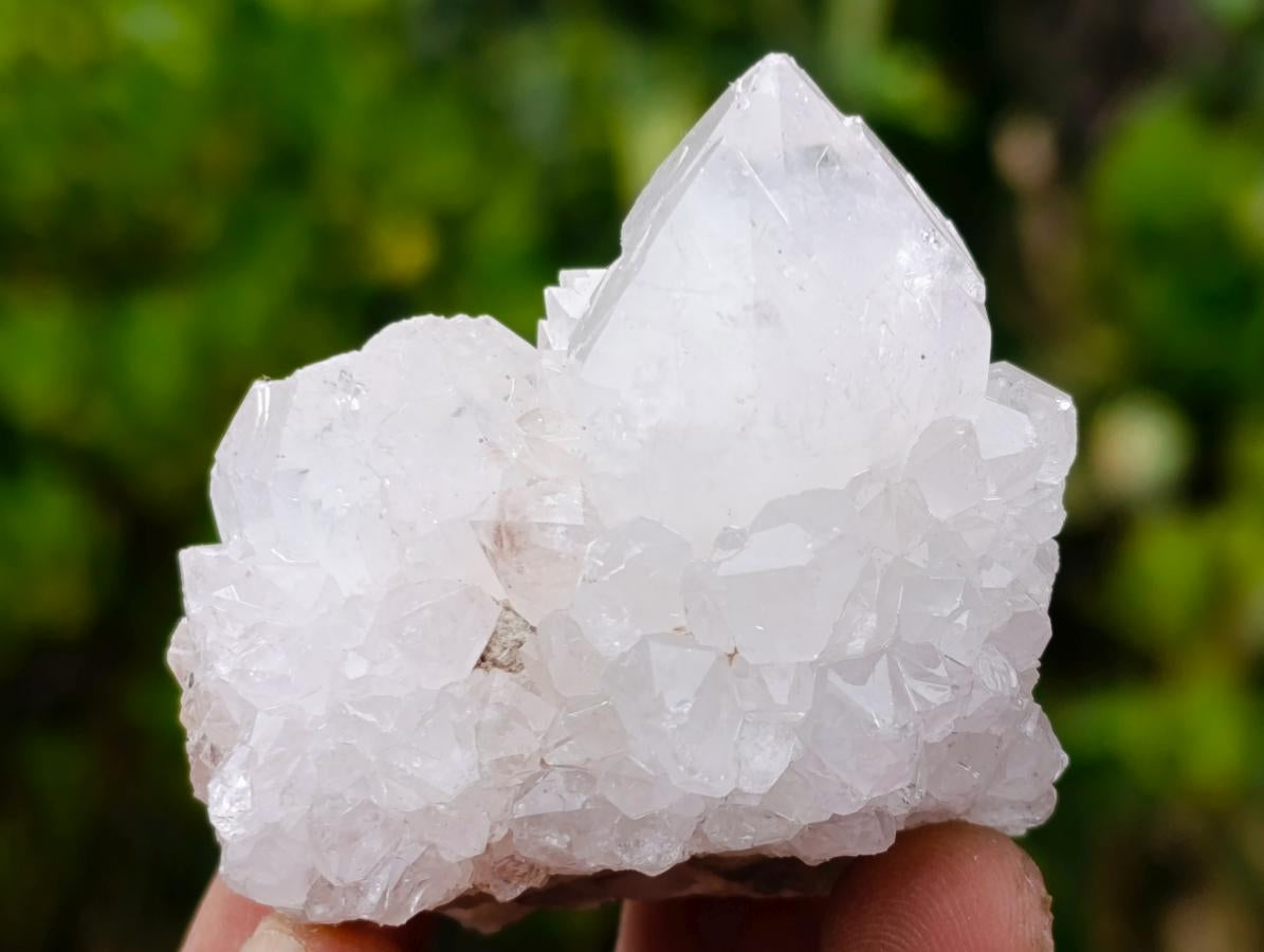 Natural Mixed Spirit Quartz Clusters x 12 From Boekenhouthoek, South Africa - Toprock Gemstones and Minerals 