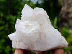Natural Mixed Spirit Quartz Clusters x 12 From Boekenhouthoek, South Africa - Toprock Gemstones and Minerals 