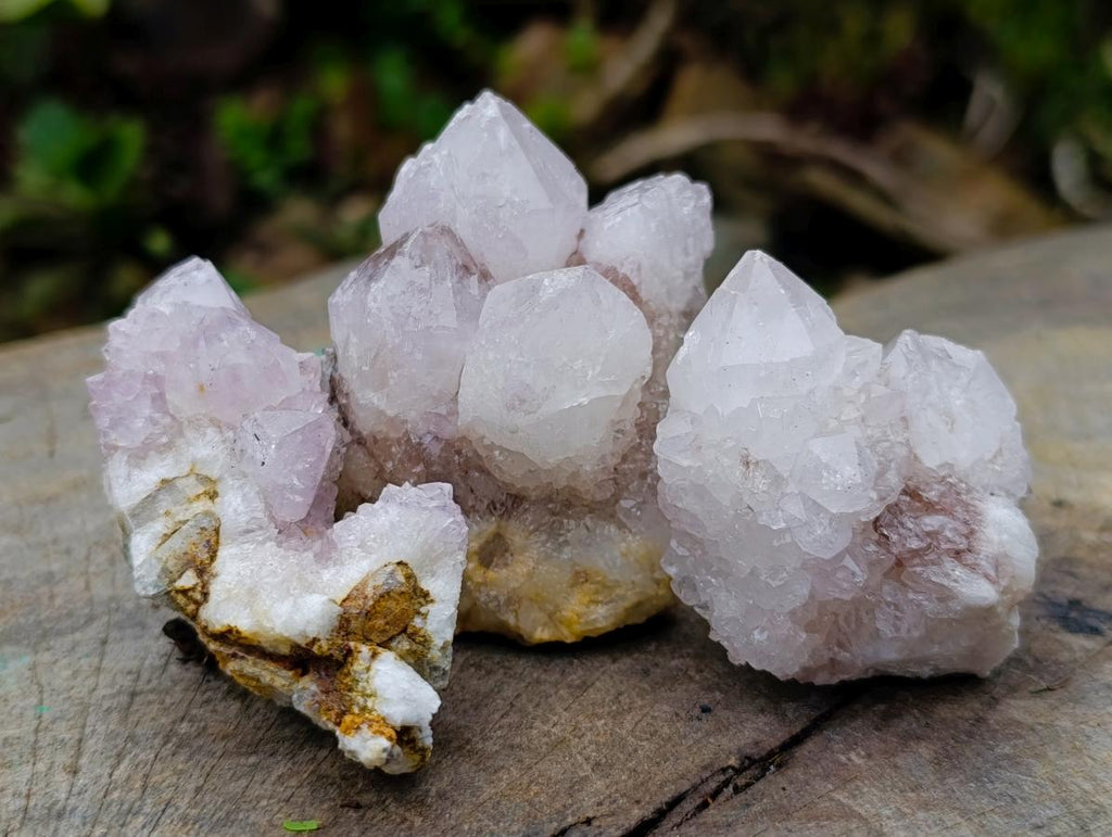 Natural Mixed Spirit Quartz Clusters x 12 From Boekenhouthoek, South Africa - Toprock Gemstones and Minerals 