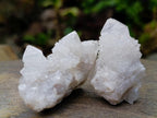 Natural Mixed Spirit Quartz Clusters x 12 From Boekenhouthoek, South Africa - Toprock Gemstones and Minerals 