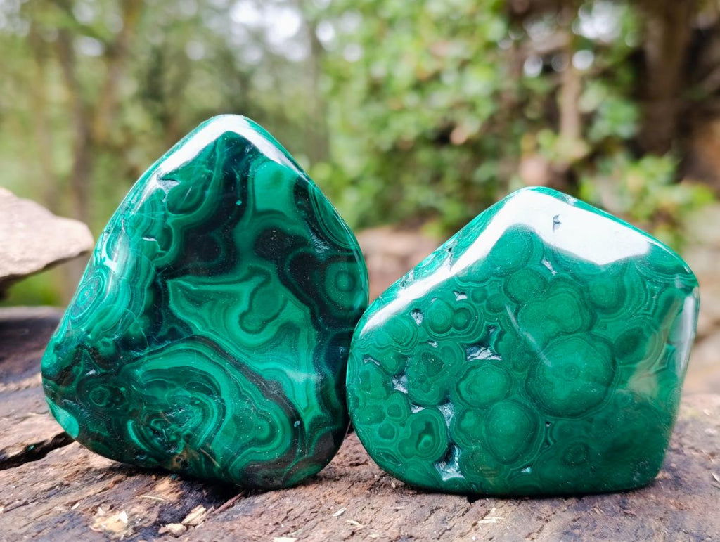 Polished Flower Banded Malachite Free Forms x 6 From Congo - Toprock Gemstones and Minerals 