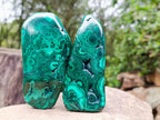 Polished Flower Banded Malachite Free Forms x 6 From Congo - Toprock Gemstones and Minerals 