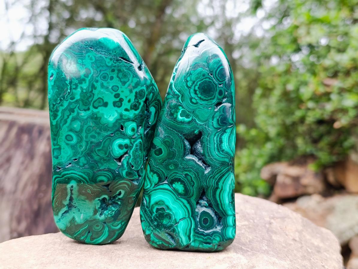 Polished Flower Banded Malachite Free Forms x 6 From Congo - Toprock Gemstones and Minerals 