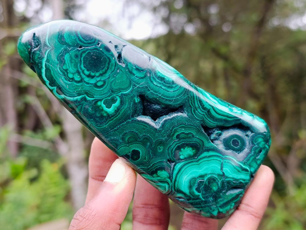 Polished Flower Banded Malachite Free Forms x 6 From Congo - Toprock Gemstones and Minerals 
