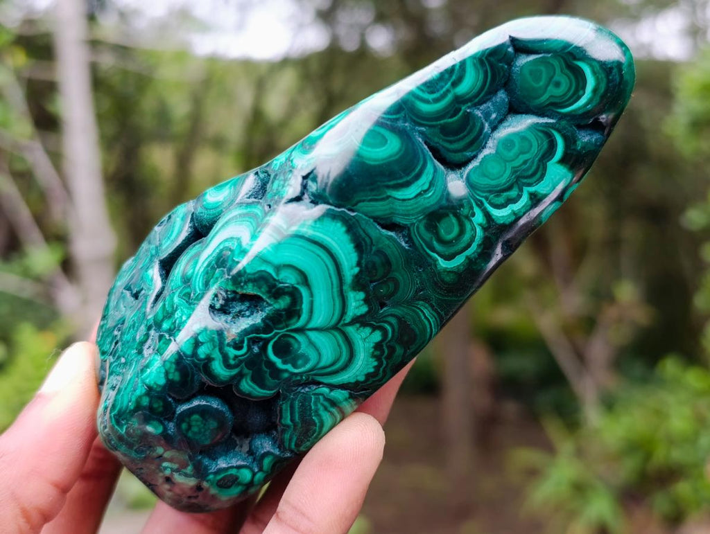 Polished Flower Banded Malachite Free Forms x 6 From Congo - Toprock Gemstones and Minerals 