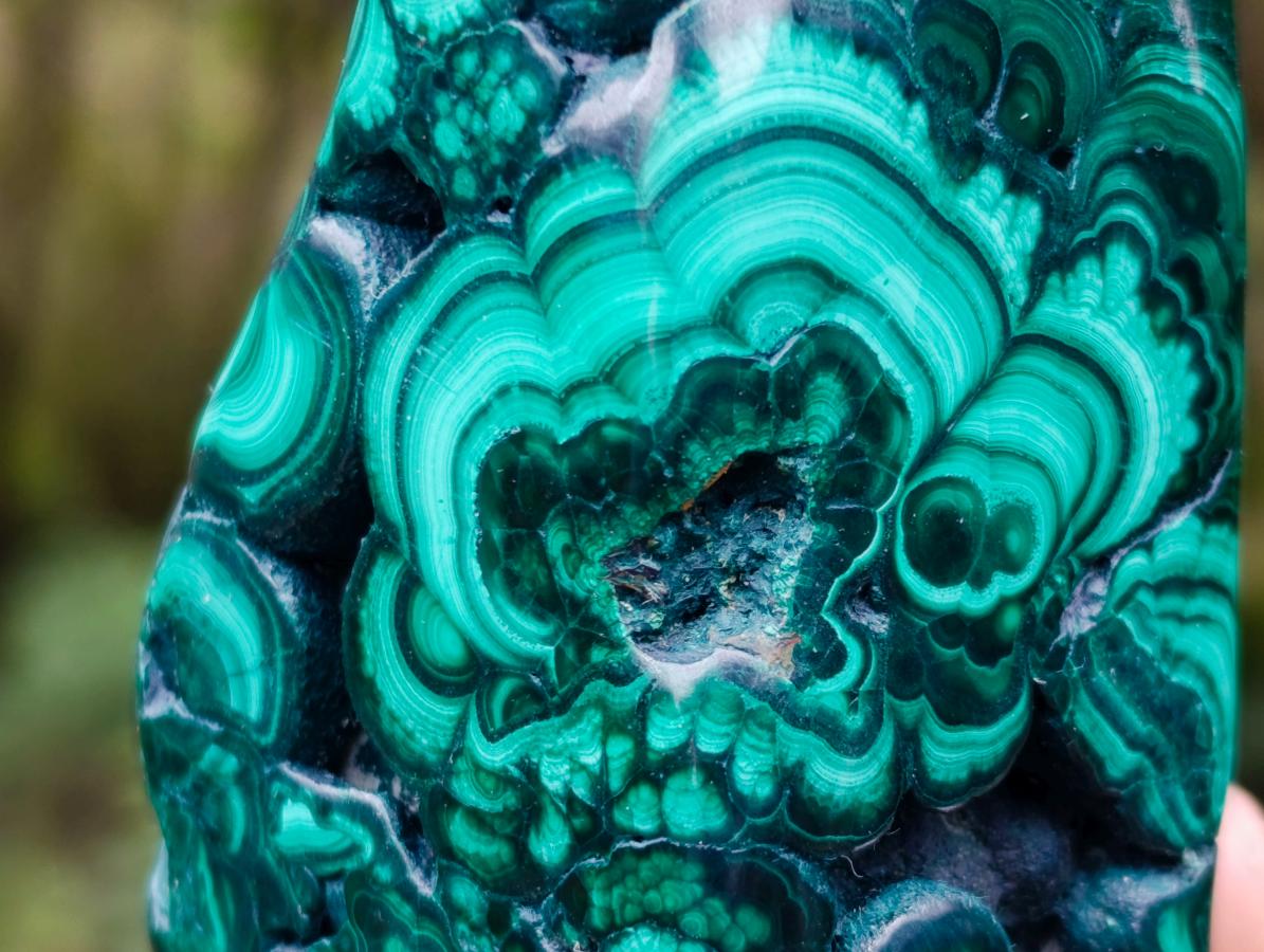 Polished Flower Banded Malachite Free Forms x 6 From Congo - Toprock Gemstones and Minerals 