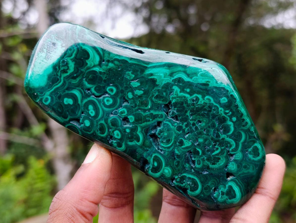 Polished Flower Banded Malachite Free Forms x 6 From Congo - Toprock Gemstones and Minerals 