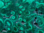 Polished Flower Banded Malachite Free Forms x 6 From Congo - Toprock Gemstones and Minerals 