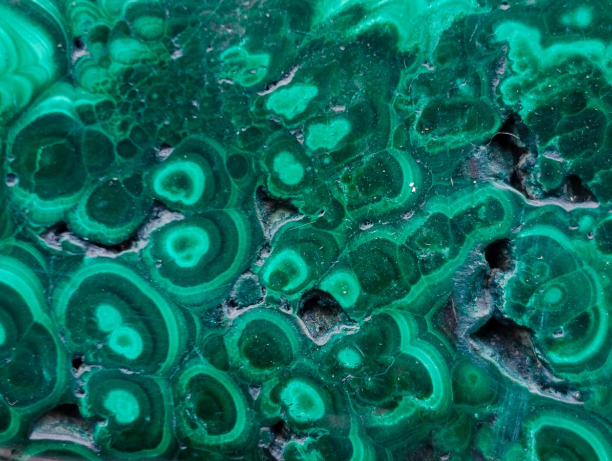 Polished Flower Banded Malachite Free Forms x 6 From Congo - Toprock Gemstones and Minerals 