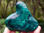 Polished Flower Banded Malachite Free Forms x 6 From Congo - Toprock Gemstones and Minerals 