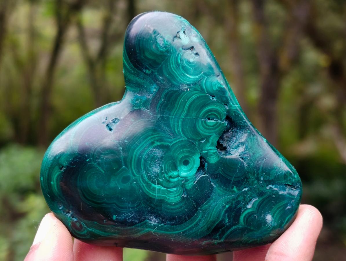 Polished Flower Banded Malachite Free Forms x 6 From Congo - Toprock Gemstones and Minerals 
