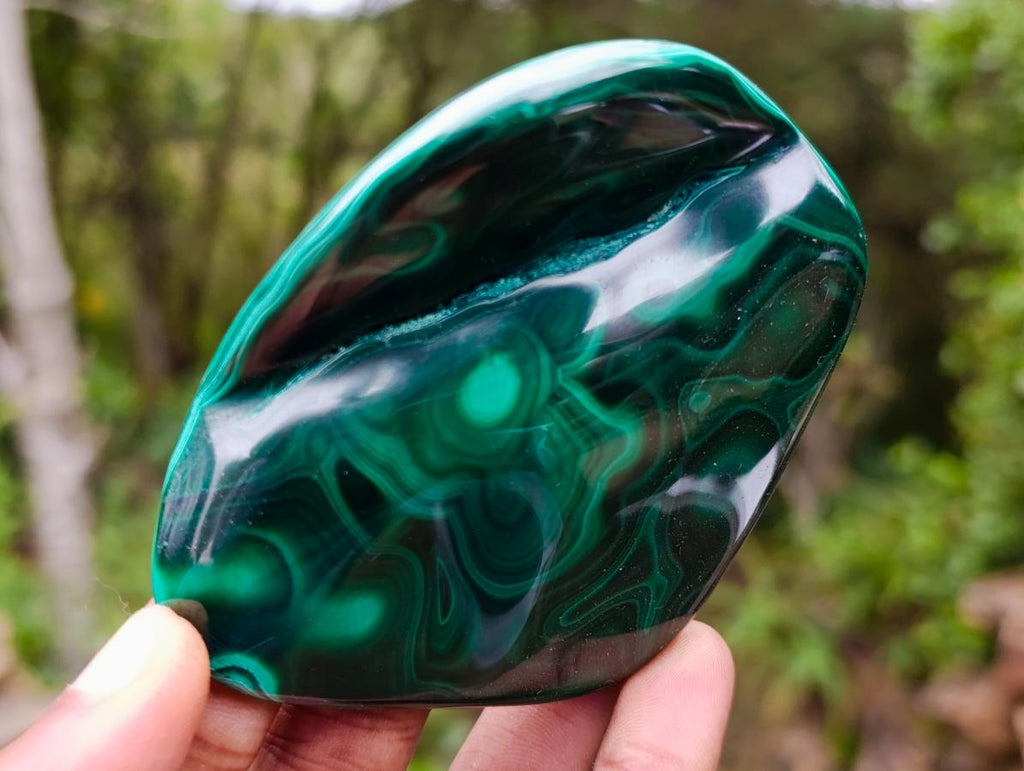 Polished Flower Banded Malachite Free Forms x 6 From Congo - Toprock Gemstones and Minerals 