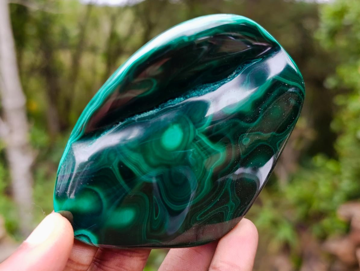 Polished Flower Banded Malachite Free Forms x 6 From Congo - Toprock Gemstones and Minerals 