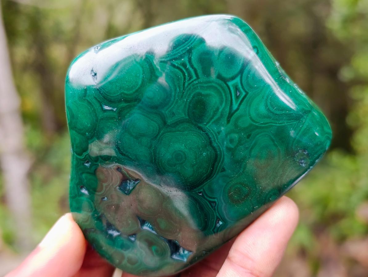 Polished Flower Banded Malachite Free Forms x 6 From Congo - Toprock Gemstones and Minerals 