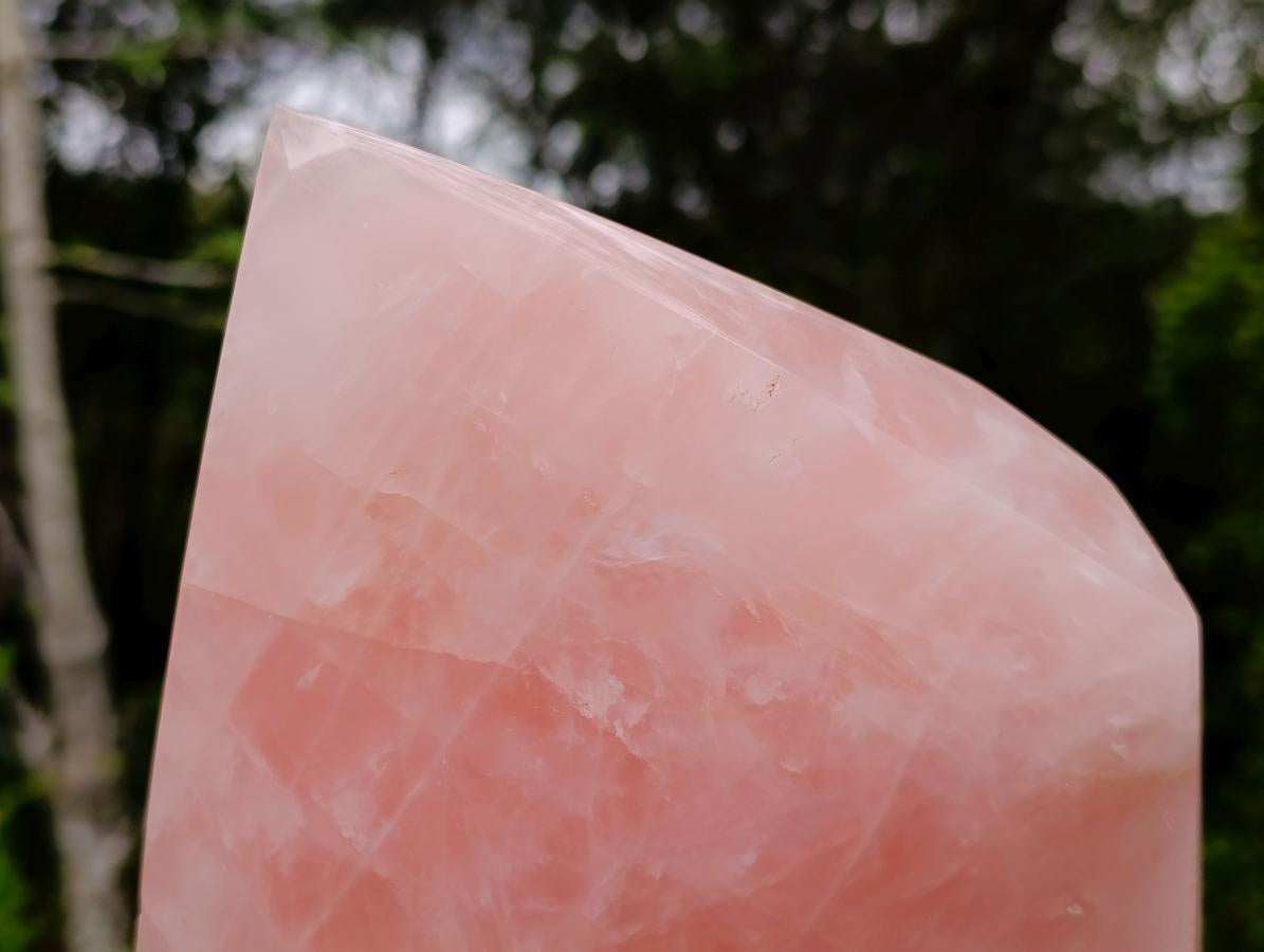 Polished Large Gemmy Rose Quartz Crystal x 1 From Madagascar - Toprock Gemstones and Minerals 