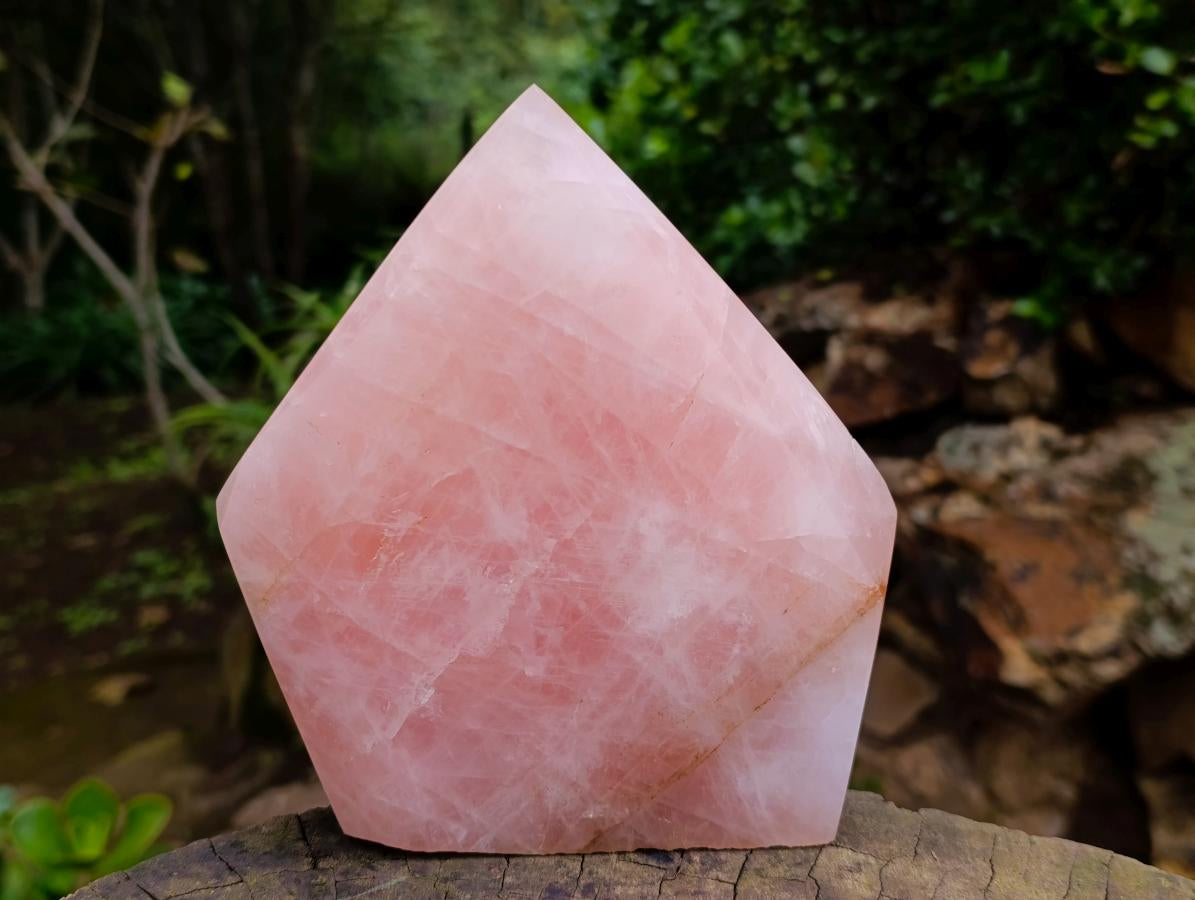 Polished Large Gemmy Rose Quartz Crystal x 1 From Madagascar - Toprock Gemstones and Minerals 