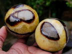Polished Septerye Spheres x 6 From Mahajanga, Madagascar - Toprock Gemstones and Minerals 