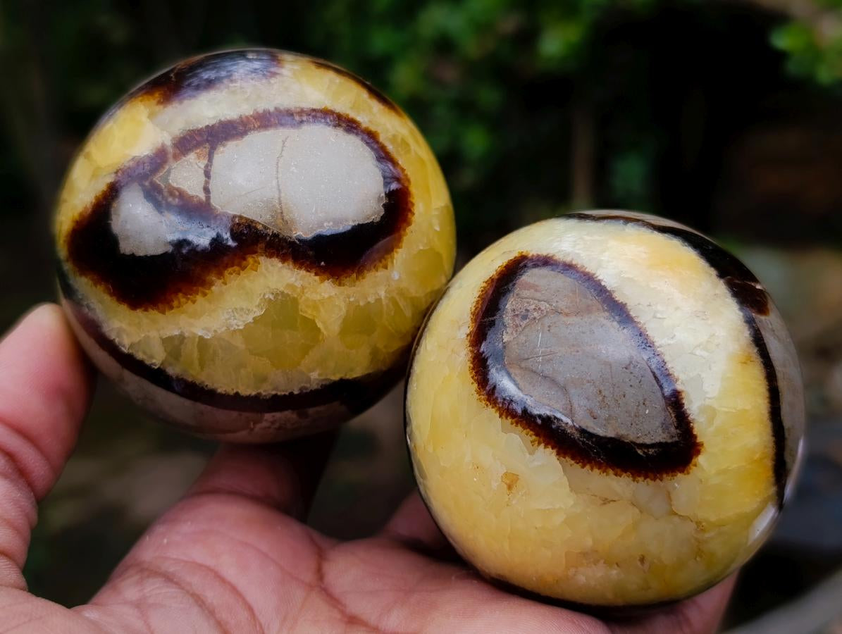 Polished Septerye Spheres x 6 From Mahajanga, Madagascar - Toprock Gemstones and Minerals 