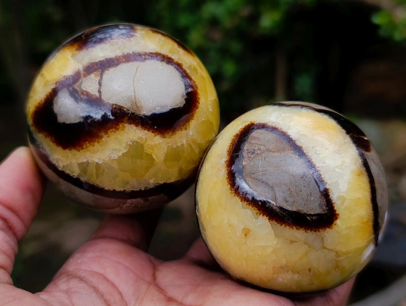Polished Septerye Spheres x 6 From Mahajanga, Madagascar - Toprock Gemstones and Minerals 