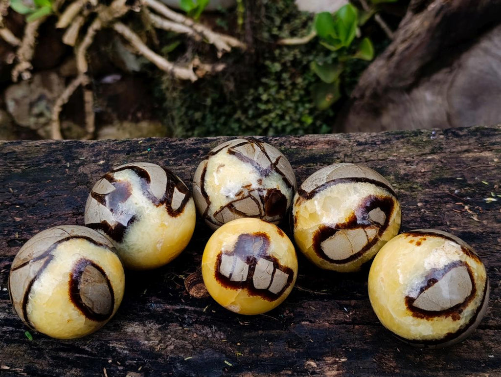 Polished Septerye Spheres x 6 From Mahajanga, Madagascar - Toprock Gemstones and Minerals 