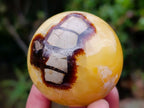 Polished Septerye Spheres x 6 From Mahajanga, Madagascar - Toprock Gemstones and Minerals 