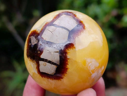 Polished Septerye Spheres x 6 From Mahajanga, Madagascar - Toprock Gemstones and Minerals 