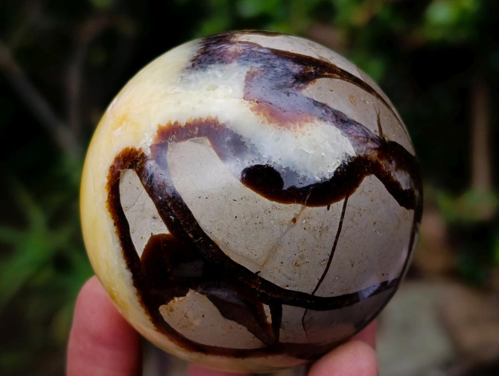 Polished Septerye Spheres x 6 From Mahajanga, Madagascar - Toprock Gemstones and Minerals 