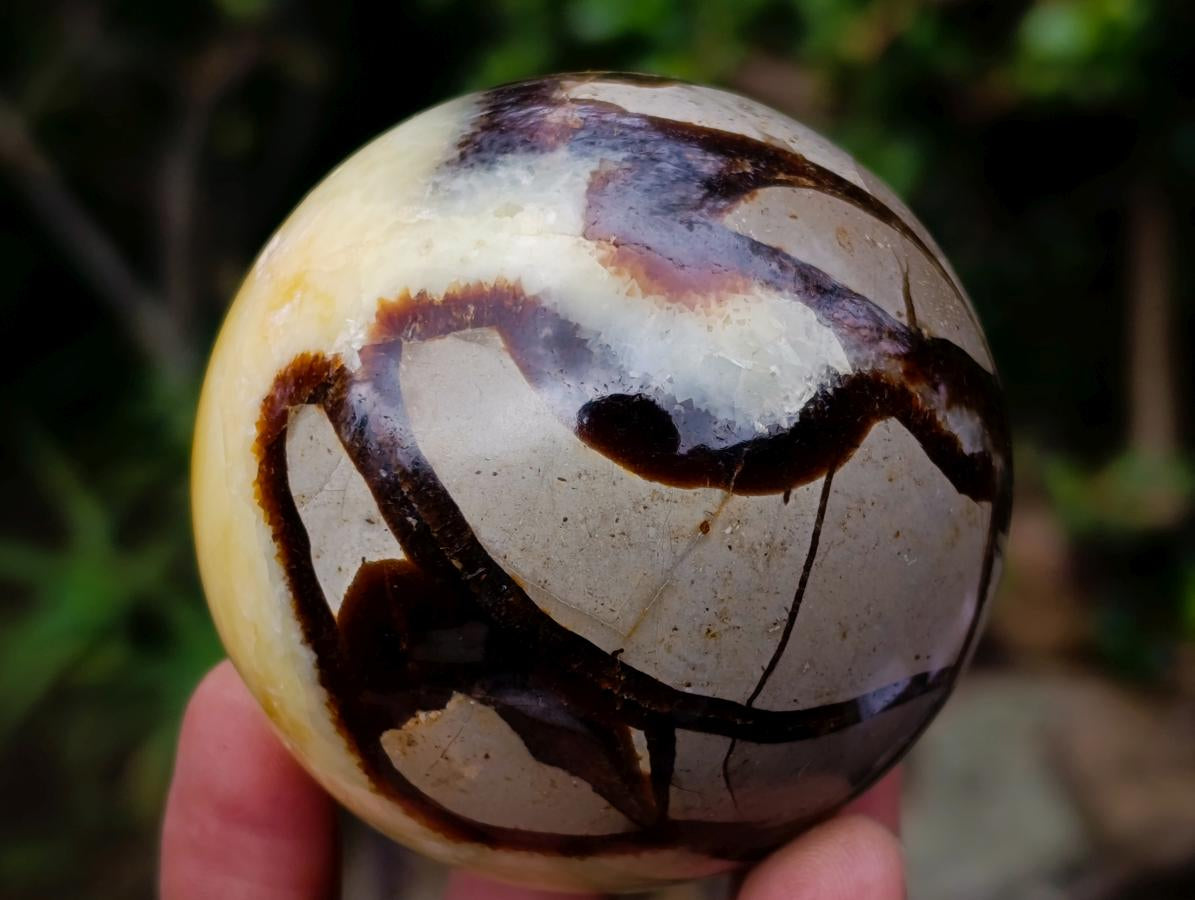 Polished Septerye Spheres x 6 From Mahajanga, Madagascar - Toprock Gemstones and Minerals 