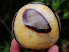 Polished Septerye Spheres x 6 From Mahajanga, Madagascar - Toprock Gemstones and Minerals 