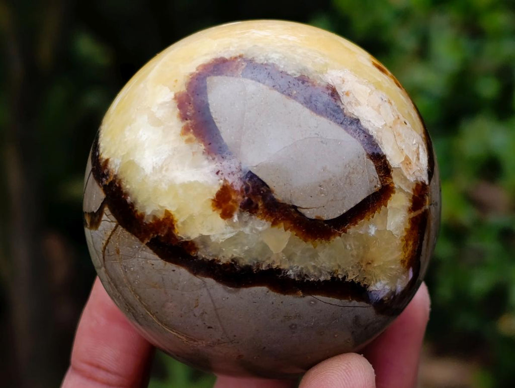Polished Septerye Spheres x 6 From Mahajanga, Madagascar - Toprock Gemstones and Minerals 