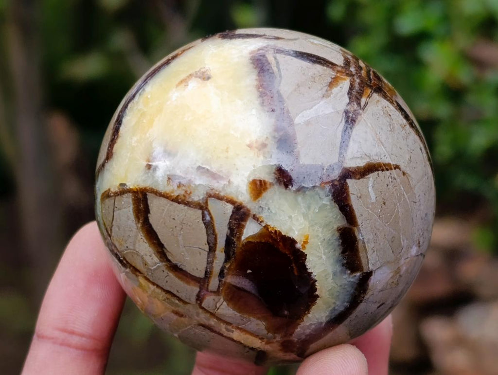 Polished Septerye Spheres x 6 From Mahajanga, Madagascar - Toprock Gemstones and Minerals 