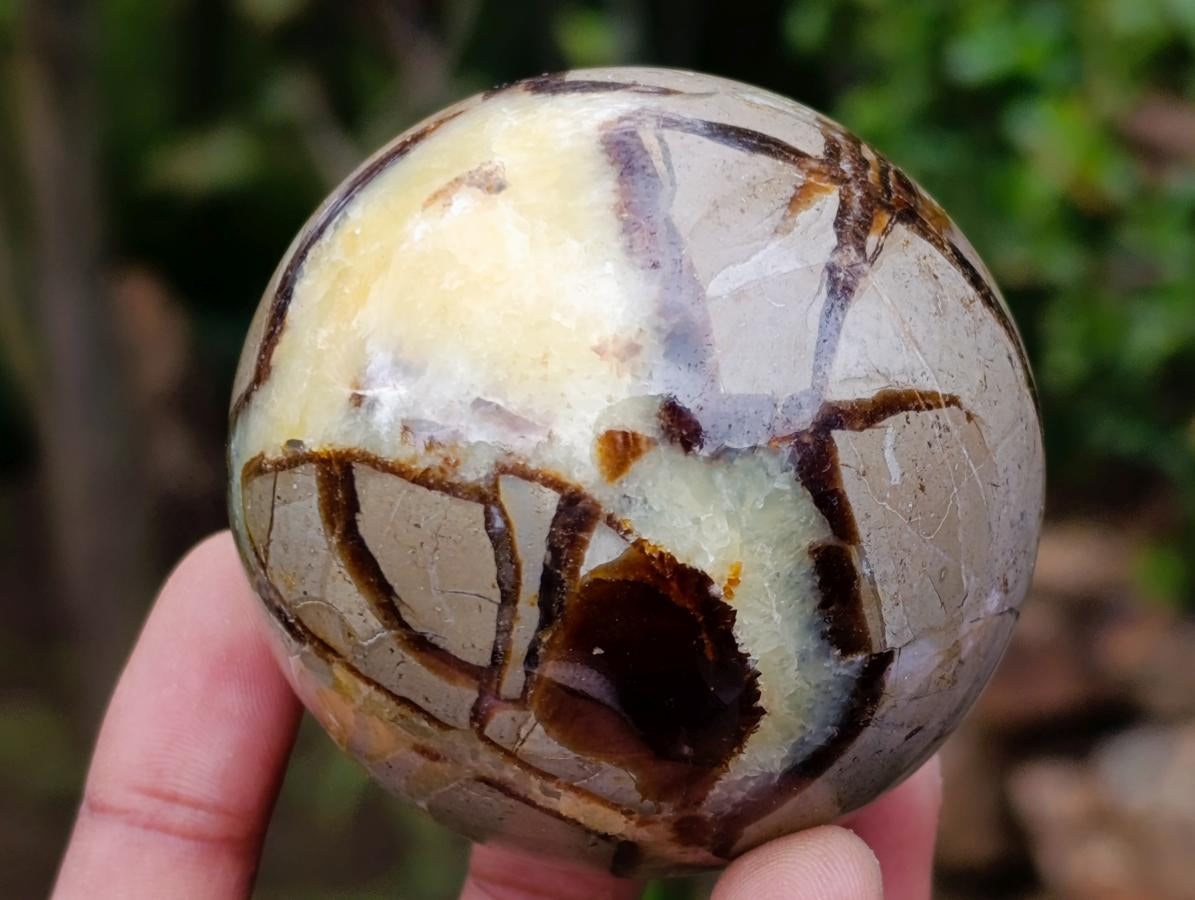 Polished Septerye Spheres x 6 From Mahajanga, Madagascar - Toprock Gemstones and Minerals 