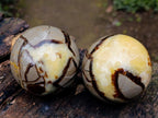 Polished Septerye Spheres x 6 From Mahajanga, Madagascar - Toprock Gemstones and Minerals 