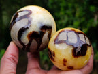 Polished Septerye Spheres x 6 From Mahajanga, Madagascar - Toprock Gemstones and Minerals 