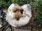 Polished XXL Agate with Crystalline Geode x 1 From Maintirano, Madagascar - Toprock Gemstones and Minerals 