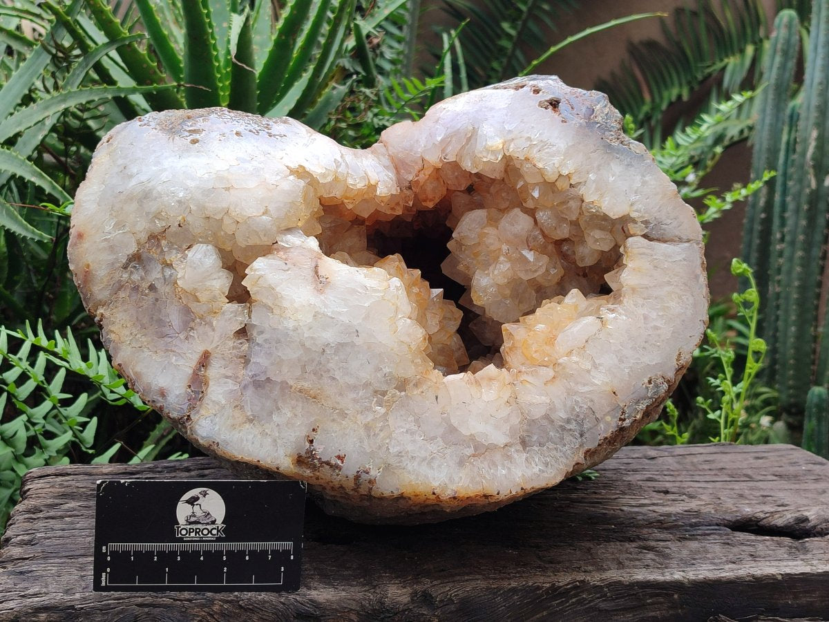 Polished XXL Agate with Crystalline Geode x 1 From Maintirano, Madagascar - Toprock Gemstones and Minerals 