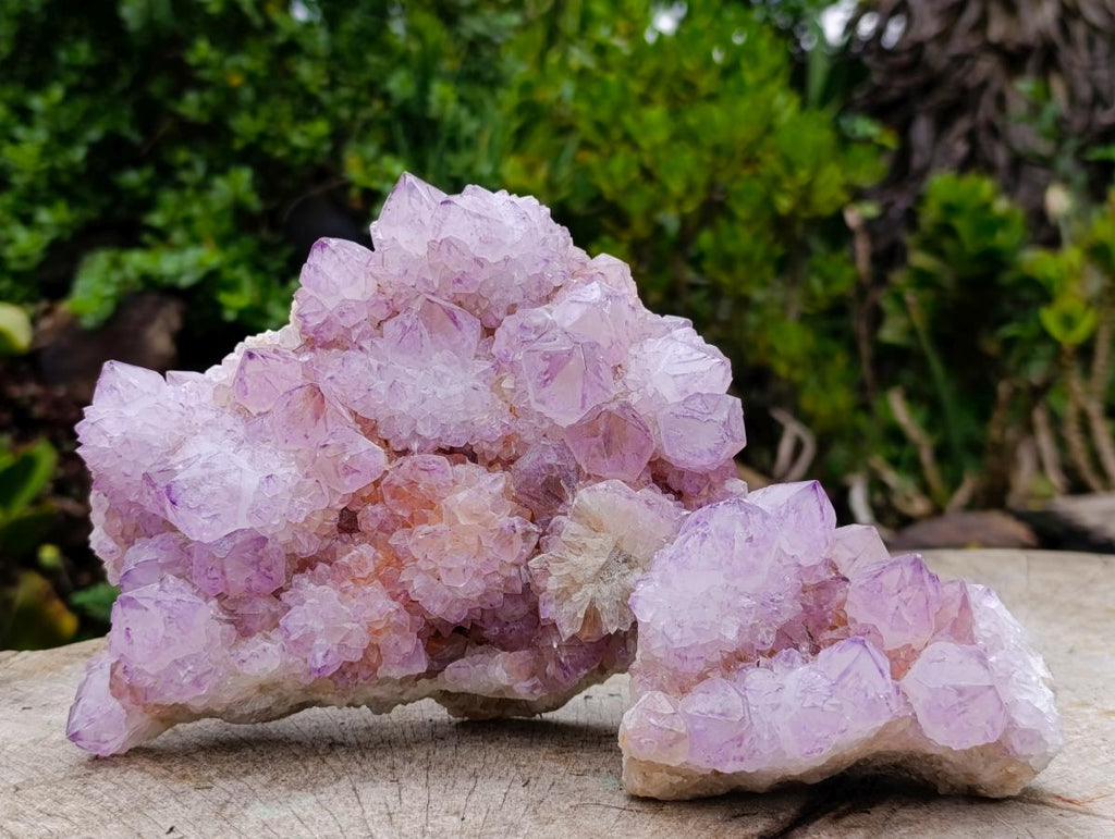 Natural Spirit Amethyst Clusters x 2 From Boekenhouthoek, South Africa - Toprock Gemstones and Minerals 