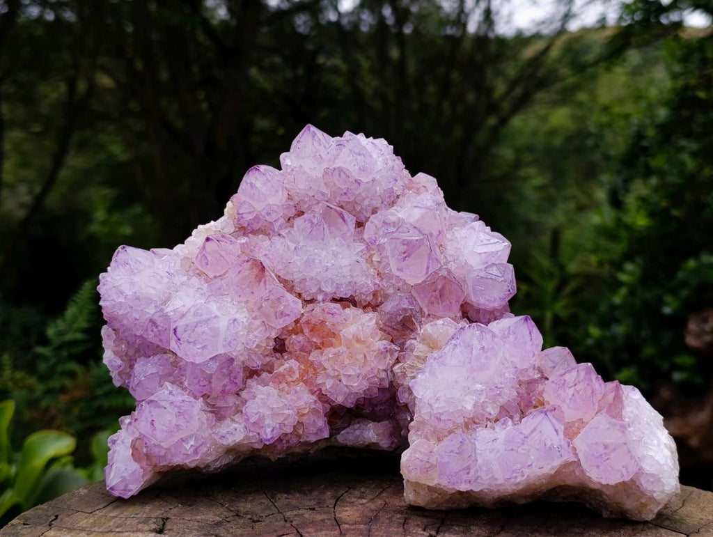 Natural Spirit Amethyst Clusters x 2 From Boekenhouthoek, South Africa - Toprock Gemstones and Minerals 