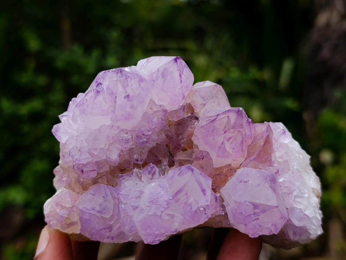 Natural Spirit Amethyst Clusters x 2 From Boekenhouthoek, South Africa - Toprock Gemstones and Minerals 