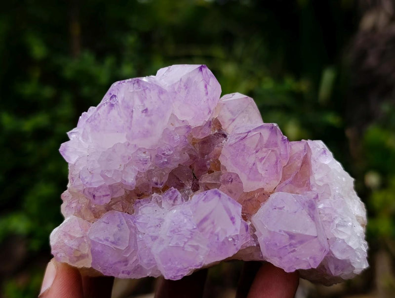 Natural Spirit Amethyst Clusters x 2 From Boekenhouthoek, South Africa - Toprock Gemstones and Minerals 
