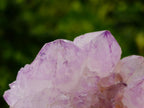 Natural Spirit Amethyst Clusters x 2 From Boekenhouthoek, South Africa - Toprock Gemstones and Minerals 