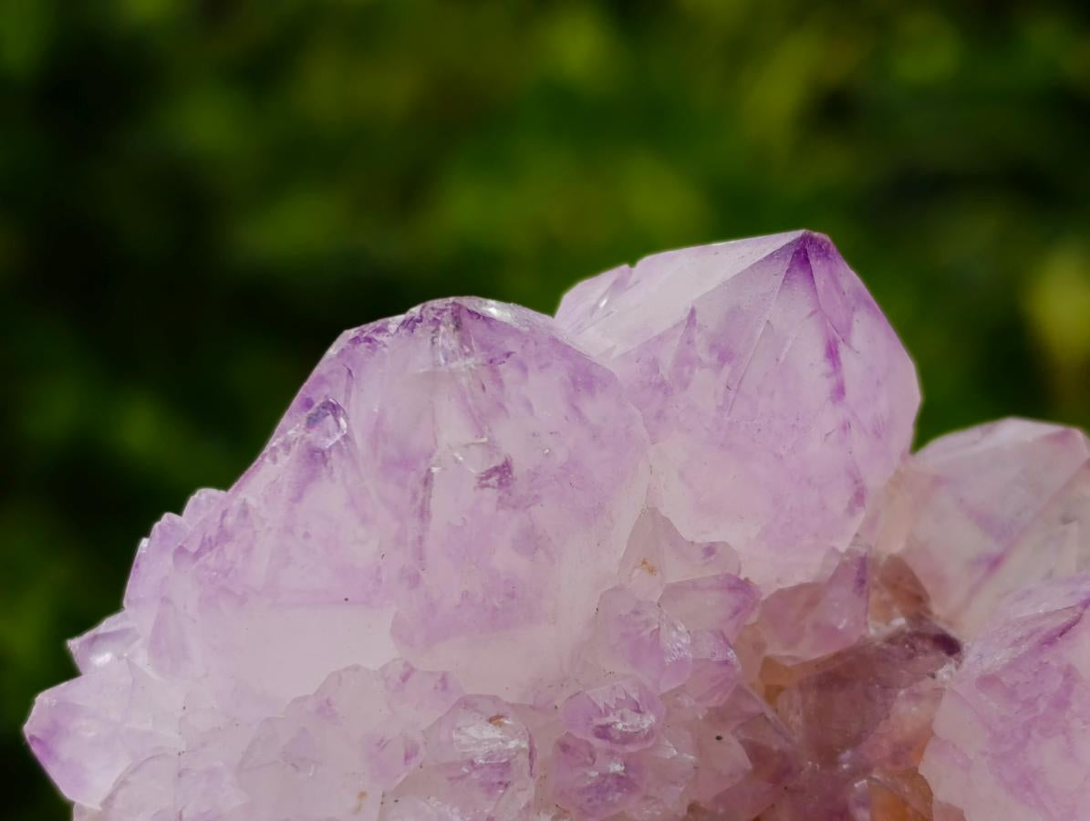 Natural Spirit Amethyst Clusters x 2 From Boekenhouthoek, South Africa - Toprock Gemstones and Minerals 