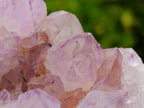 Natural Spirit Amethyst Clusters x 2 From Boekenhouthoek, South Africa - Toprock Gemstones and Minerals 