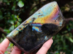 Polished Spectrolite Labradorite Standing Display Pieces x 4 From Madagascar - Toprock Gemstones and Minerals 