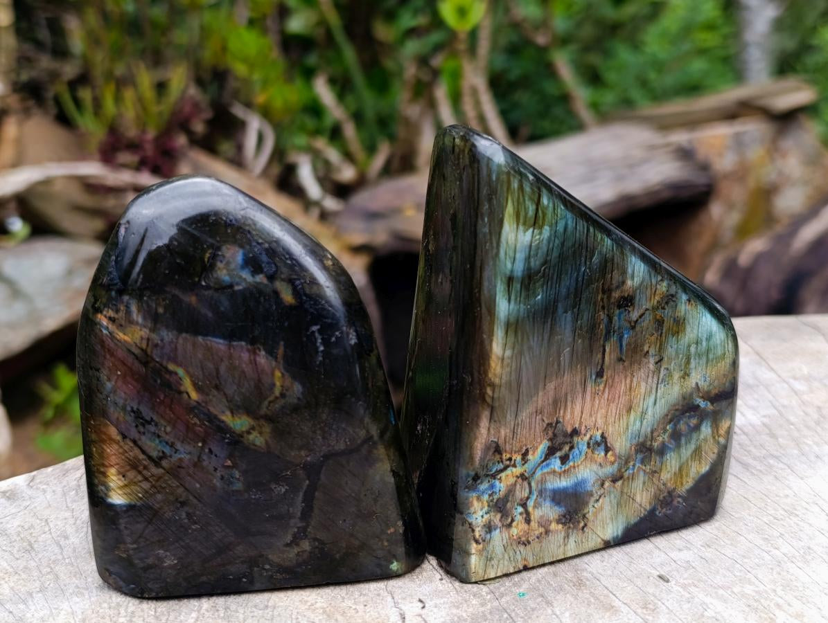 Polished Spectrolite Labradorite Standing Display Pieces x 4 From Madagascar - Toprock Gemstones and Minerals 