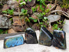 Polished Spectrolite Labradorite Standing Display Pieces x 4 From Madagascar - Toprock Gemstones and Minerals 
