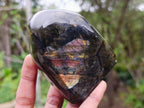 Polished Spectrolite Labradorite Standing Display Pieces x 4 From Madagascar - Toprock Gemstones and Minerals 
