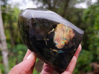 Polished Spectrolite Labradorite Standing Display Pieces x 4 From Madagascar - Toprock Gemstones and Minerals 