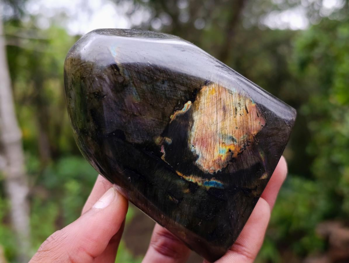 Polished Spectrolite Labradorite Standing Display Pieces x 4 From Madagascar - Toprock Gemstones and Minerals 